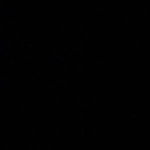 Meet your Posher, Ella